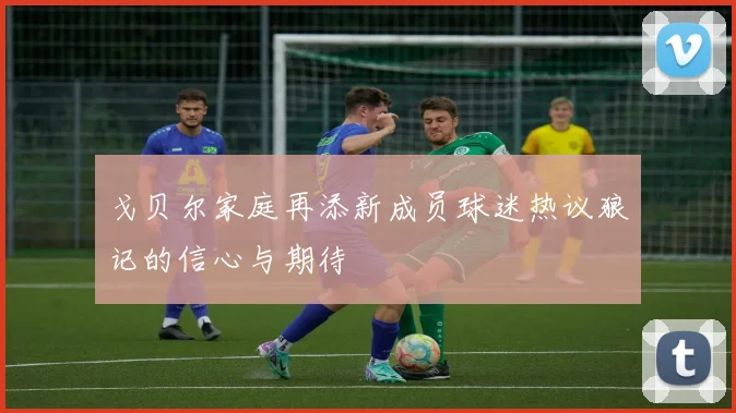 戈贝尔家庭再添新成员球迷热议狼记的信心与期待